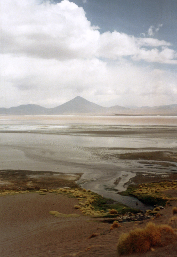 Laguna Colorada (Bolivia)