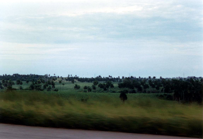 Traversando la campagna cubana