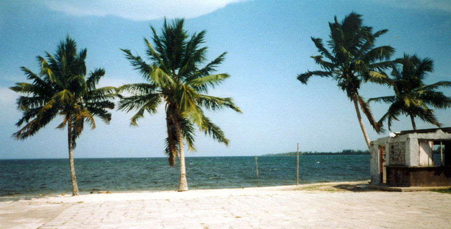 Playa Larga (Cuba)